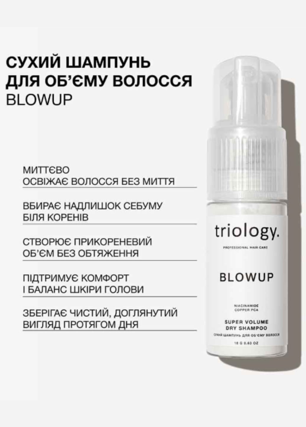Сухий шампунь для об'єму волосся BLOWUP 2358